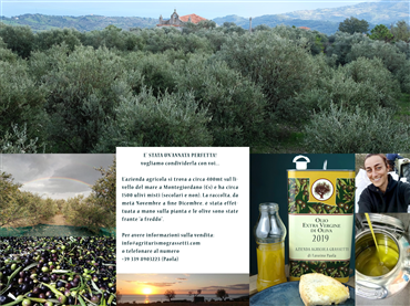 brochure olio novembre/dicembre 2019